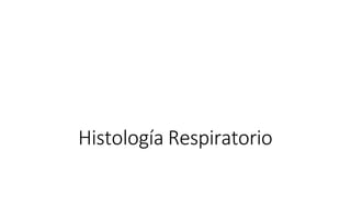 Histología Respiratorio
 