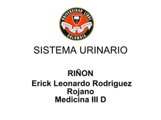 SISTEMA URINARIO RIÑON Erick Leonardo Rodriguez Rojano Medicina III D 