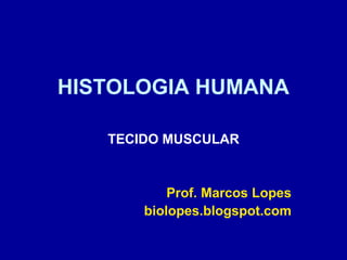 HISTOLOGIA HUMANA

   TECIDO MUSCULAR


           Prof. Marcos Lopes
       biolopes.blogspot.com
 