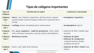 histologia-tejido-conectivo-58892-downloable-2560592.pdf