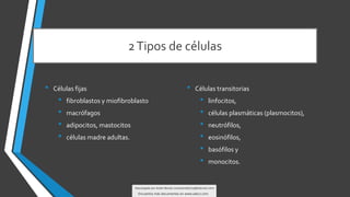 histologia-tejido-conectivo-58892-downloable-2560592.pdf