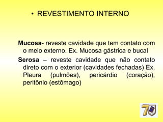 REVESTIMENTO INTERNO Mucosa - reveste cavidade que tem contato com o meio externo. Ex. Mucosa gástrica e bucal Serosa  – reveste cavidade que não contato direto com o exterior (cavidades fechadas) Ex. Pleura (pulmões), pericárdio (coração), peritônio (estômago)‏ 