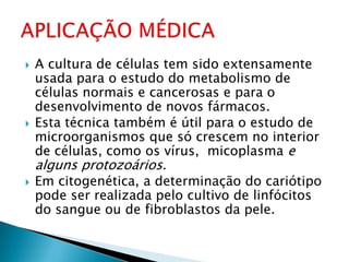    A cultura de células tem sido extensamente
    usada para o estudo do metabolismo de
    células normais e cancerosas e para o
    desenvolvimento de novos fármacos.
   Esta técnica também é útil para o estudo de
    microorganismos que só crescem no interior
    de células, como os vírus, micoplasma e
    alguns protozoários.
   Em citogenética, a determinação do cariótipo
    pode ser realizada pelo cultivo de linfócitos
    do sangue ou de fibroblastos da pele.
 