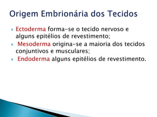    Ectoderma forma-se o tecido nervoso e
    alguns epitélios de revestimento;
    Mesoderma origina-se a maioria dos tecidos
    conjuntivos e musculares;
    Endoderma alguns epitélios de revestimento.
 