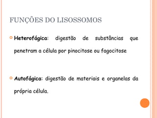 FUNÇÕES DO LISOSSOMOS

   Heterofágica:     digestão   de   substâncias    que

    penetram a célula por pinocitose ou fagocitose




   Autofágica: digestão de materiais e organelas da

    própria célula.
 