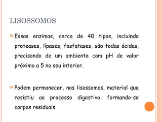 LISOSSOMOS

   Essas enzimas, cerca de 40 tipos, incluindo
    proteases, lípases, fosfatases, são todas ácidas,
    precisando de um ambiente com pH de valor
    próximo a 5 no seu interior.


   Podem permanecer, nos lisossomos, material que
    resistiu ao processo digestivo, formando-se
    corpos residuais.
 