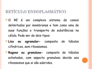 RETÍCULO ENDOPLASMÁTICO
   O      RE    é        um   complexo    sistema    de    canais
    delimitados por membranas e tem como uma de
    suas funções o transporte de substâncias na
    célula. Pode ser de dois tipos:
   Liso        ou        agranular-    composto     de    túbulos
    cilíndricos, sem ribossomos.
   Rugoso           ou    granuloso-     composto de túbulos
    achatados, com aspecto granuloso devido aos
    ribossomos que ai são aderidos.
 