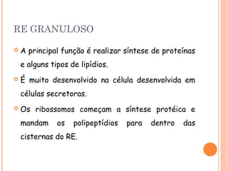 RE GRANULOSO

   A principal função é realizar síntese de proteínas
    e alguns tipos de lipídios.
   É muito desenvolvido na célula desenvolvida em
    células secretoras.
   Os ribossomos começam a síntese protéica e
    mandam     os   polipeptídios   para   dentro   das
    cisternas do RE.
 