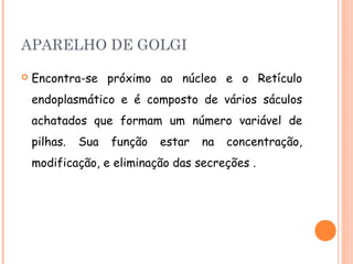 APARELHO DE GOLGI

   Encontra-se próximo ao núcleo e o Retículo
    endoplasmático e é composto de vários sáculos
    achatados que formam um número variável de
    pilhas.   Sua   função   estar   na   concentração,
    modificação, e eliminação das secreções .
 