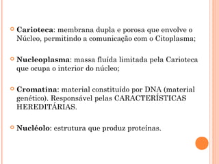    Carioteca: membrana dupla e porosa que envolve o
    Núcleo, permitindo a comunicação com o Citoplasma;

   Nucleoplasma: massa fluída limitada pela Carioteca
    que ocupa o interior do núcleo;

   Cromatina: material constituído por DNA (material
    genético). Responsável pelas CARACTERÍSTICAS
    HEREDITÁRIAS.

   Nucléolo: estrutura que produz proteínas.
 