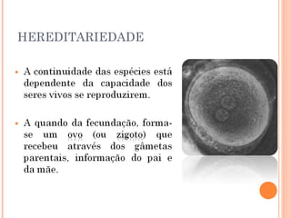 27
     HEREDITARIEDADE
 