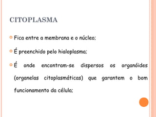CITOPLASMA

   Fica entre a membrana e o núcleo;

   É preenchido pelo hialoplasma;

   É   onde     encontram-se   dispersos    os   organóides

    (organelas   citoplasmáticas)    que   garantem   o   bom

    funcionamento da célula;
 