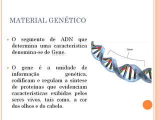 36
     MATERIAL GENÉTICO
 