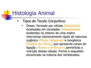 Histologia Animal Tipos de Tecido Conjuntivo: Ósseo: formado por células  (Osteócitos)  localizadas em cavidades  (Osteoplastos)  existentes no interior de uma matriz intercelular extremamente rígida de natureza orgânica  (Fibras Colágenas)  e inorgânica  (Fosfato de Cálcio) , que apresenta canais de ligação  (Havers e Volkmann)  permitindo a nutrição destas células. Forma o esqueleto encontrado na maioria dos Vertebrados. 