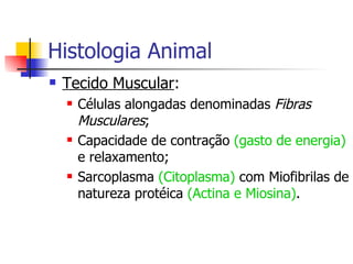 Histologia Animal Tecido Muscular : Células alongadas denominadas  Fibras Musculares ; Capacidade de contração  (gasto de energia)  e relaxamento; Sarcoplasma  (Citoplasma)  com Miofibrilas de natureza protéica  (Actina e Miosina) . 