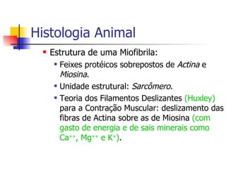 Histologia Animal Estrutura de uma Miofibrila: Feixes protéicos sobrepostos de  Actina  e  Miosina . Unidade estrutural:  Sarcômero . Teoria dos Filamentos Deslizantes  (Huxley)  para a Contração Muscular: deslizamento das fibras de Actina sobre as de Miosina  (com gasto de energia e de sais minerais como Ca ++ , Mg ++  e K + ) . 
