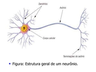 Figura: Estrutura geral de um neurônio. 