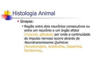 Histologia Animal Sinapse:  Região entre dois neurônios consecutivos ou entre um neurônio e um órgão efetor  (músculo, glândula)  por onde a continuidade do impulso nervoso ocorre através de  Neurotransmissores Químicos   (Noradrenalina, Acetilcolina, Dopamina, Serotonina) . 