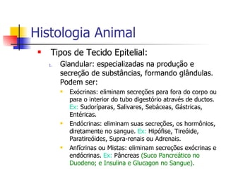 Histologia Animal Tipos de Tecido Epitelial: Glandular: especializadas na produção e secreção de substâncias, formando glândulas. Podem ser: Exócrinas: eliminam secreções para fora do corpo ou para o interior do tubo digestório através de ductos.  Ex:  Sudoríparas, Salivares, Sebáceas, Gástricas, Entéricas. Endócrinas: eliminam suas secreções, os hormônios, diretamente no sangue.  Ex:  Hipófise, Tireóide, Paratireóides, Supra-renais ou Adrenais. Anfícrinas ou Mistas: eliminam secreções exócrinas e endócrinas.  Ex:  Pâncreas  (Suco Pancreático no Duodeno; e Insulina e Glucagon no Sangue). 