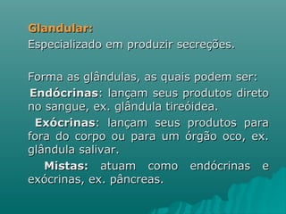 Glandular:   Especializado em produzir secreções.  Forma as glândulas, as quais podem ser: Endócrinas : lançam seus produtos direto no sangue, ex. glândula tireóidea.  Exócrinas : lançam seus produtos para fora do corpo ou para um órgão oco, ex. glândula salivar.  Mistas:  atuam como endócrinas e exócrinas, ex. pâncreas. 