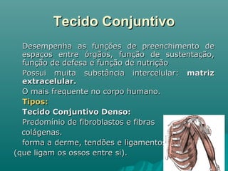 Tecido Conjuntivo Desempenha as funções de preenchimento de espaços entre órgãos, função de sustentação, função de defesa e função de nutrição  Possui muita substância intercelular:  matriz extracelular.  O mais frequente no corpo humano. Tipos:   Tecido Conjuntivo Denso: Predomínio de fibroblastos e fibras colágenas.  forma a derme, tendões e ligamentos (que ligam os ossos entre si).  