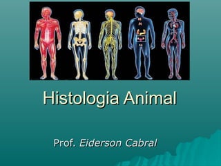 Histologia Animal Prof.  Eiderson Cabral 