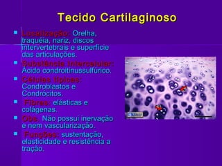 Tecido Cartilaginoso
   Localização: Orelha,
    traquéia, nariz, discos
    intervertebrais e superfície
    das articulações.
   Substância Intercelular:
    Ácido condroitinussulfúrico.
   Células típicas:
    Condroblastos e
    Condrócitos.
    Fibras: elásticas e
    colágenas.
   Obs. Não possui inervação
    e nem vascularização.
    Funções: sustentação,
    elasticidade e resistência a
    tração.
 