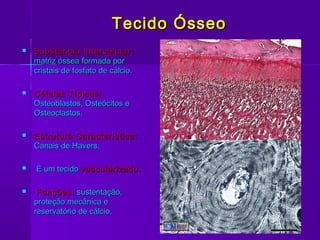 Tecido Ósseo
   Substância Intercelular:
    matriz óssea formada por
    cristais de fosfato de cálcio.

   Células Típicas:
    Osteoblastos, Osteócitos e
    Osteoclastos.

   Estrutura Característica:
    Canais de Havers.

   É um tecido vascularizado.

    Funções: sustentação,
    proteção mecânica e
    reservatório de cálcio.
 