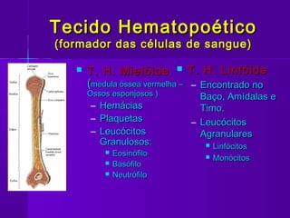 Tecido Hematopoético
(formador das células de sangue)

      T. H. Mielóide  T. H. Linfóide
       (medula óssea vermelha – – Encontrado no
       Ossos esponjosos )       Baço, Amídalas e
       – Hemácias               Timo.
       – Plaquetas            – Leucócitos
       – Leucócitos             Agranulares
         Granulosos:                Linfócitos
              Eosinófilo           Monócitos
              Basófilo
              Neutrófilo
 