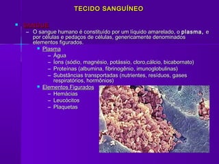 TECIDO SANGUÍNEO

   SANGUE
     – O sangue humano é constituído por um líquido amarelado, o plasma, e
       por células e pedaços de células, genericamente denominados
       elementos figurados.
          Plasma
             – Água
             – Íons (sódio, magnésio, potássio, cloro,cálcio, bicabornato)
             – Proteínas (albumina, fibrinogênio, imunoglobulinas)
             – Substâncias transportadas (nutrientes, resíduos, gases
                respiratórios, hormônios)
          Elementos Figurados
             – Hemácias
             – Leucócitos
             – Plaquetas
 