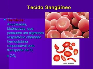 Tecido Sangüíneo

   Hemácia:
    Anucleadas,
    bicôncavas, que
    possuem um pigmento
    respiratório chamado
    hemoglobina
    responsável pelo
    transporte de O2
    e CO2.
 