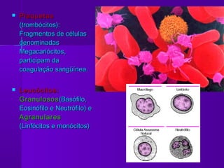    Plaquetas
    (trombócitos):
    Fragmentos de células
    denominadas
    Megacariócitos,
    participam da
    coagulação sangüínea.

   Leucócitos:
    Granulosos (Basófilo,
    Eosinófilo e Neutrófilo) e
    Agranulares
    (Linfócitos e monócitos)
 