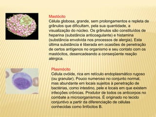 Mastócito
Célula globosa, grande, sem prolongamentos e repleta de
grânulos que dificultam, pela sua quantidade, a
visualização do núcleo. Os grânulos são constituídos de
heparina (substãncia anticoagulante) e histamina
(substãncia envolvida nos processos de alergia). Esta
última substância é liberada em ocasiões de penetração
de certos antígenos no organismo e seu contato com os
mastócitos, desencadeando a conseqüente reação
alérgica.
Plasmócito
Célula ovóide, rica em retículo endoplasmático rugoso
(ou granular). Pouco numeroso no conjunto normal,
mas abundante em locais sujeitos à penetração de
bactérias, como intestino, pele e locais em que existem
infecções crônicas. Produtor de todos os anticorpos no
combate a microorganismos. É originado no tecido
conjuntivo a partir da diferenciação de células
conhecidas como linfócitos B.
 