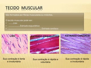 LISO ESTRIADO CARDÍACOESTRIADO ESQUELÉTICO
Sua contração é lenta
e involuntária
Sua contração é rápida
e involuntária
Sua contração é rápida e
voluntária
 