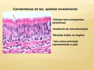 Carcterísticas do tec. epitelial revestimento
•Células bem justapostas
(próximas)
•Ausência de vascularização
•Reveste todos os órgãos.
• tem como principal
representante a pele
 