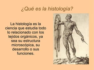 ¿Qué es la histología?
La histología es la
ciencia que estudia todo
lo relacionado con los
tejidos orgánicos, ya
sea su estructura
microscópica, su
desarrollo o sus
funciones.
 