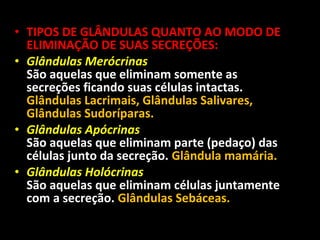 • TIPOS DE GLÂNDULAS QUANTO AO MODO DE
ELIMINAÇÃO DE SUAS SECREÇÕES:
• Glândulas Merócrinas
São aquelas que eliminam somente as
secreções ficando suas células intactas.
Glândulas Lacrimais, Glândulas Salivares,
Glândulas Sudoríparas.
• Glândulas Apócrinas
São aquelas que eliminam parte (pedaço) das
células junto da secreção. Glândula mamária.
• Glândulas Holócrinas
São aquelas que eliminam células juntamente
com a secreção. Glândulas Sebáceas.
 