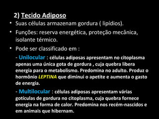 2) Tecido Adiposo
• Suas células armazenam gordura ( lipídios).
• Funções: reserva energética, proteção mecânica,
isolante térmico.
• Pode ser classificado em :
- Unilocular : células adiposas apresentam no citoplasma
apenas uma única gota de gordura , cuja quebra libera
energia para o metabolismo. Predomina no adulto. Produz o
hormônio LEPTINA que diminui o apetite e aumenta o gasto
de energia.
- Multilocular : células adiposas apresentam várias
gotículas de gordura no citoplasma, cuja quebra fornece
energia na forma de calor. Predomina nos recém-nascidos e
em animais que hibernam.
 