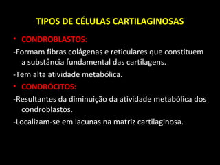 TIPOS DE CÉLULAS CARTILAGINOSAS
• CONDROBLASTOS:
-Formam fibras colágenas e reticulares que constituem
a substância fundamental das cartilagens.
-Tem alta atividade metabólica.
• CONDRÓCITOS:
-Resultantes da diminuição da atividade metabólica dos
condroblastos.
-Localizam-se em lacunas na matriz cartilaginosa.
 