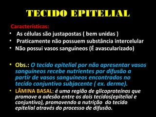 TECIDO EPITELIAL
Características:
• As células são justapostas ( bem unidas )
• Praticamente não possuem substância intercelular
• Não possui vasos sanguíneos (É avascularizado)
• Obs.: O tecido epitelial por não apresentar vasos
sanguíneos recebe nutrientes por difusão a
partir de vasos sanguíneos encontrados no
tecido conjuntivo subjacente ( ex. derme).
• LÂMINA BASAL: é uma região de glicoproteínas que
promove a adesão entre os dois tecidos(epitelial e
conjuntivo), promovendo a nutrição do tecido
epitelial através do processo de difusão.
 