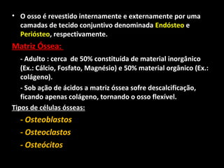 • O osso é revestido internamente e externamente por uma
camadas de tecido conjuntivo denominada Endósteo e
Periósteo, respectivamente.
Matriz Óssea:
- Adulto : cerca de 50% constituída de material inorgânico
(Ex.: Cálcio, Fosfato, Magnésio) e 50% material orgânico (Ex.:
colágeno).
- Sob ação de ácidos a matriz óssea sofre descalcificação,
ficando apenas colágeno, tornando o osso flexível.
Tipos de células ósseas:
- Osteoblastos
- Osteoclastos
- Osteócitos
 