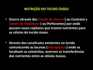 NUTRIÇÃO DO TECIDO ÓSSEO
• Ocorre através dos Canais de Havers ( ou Centrais) e
Canais de Volkmann ( ou Perfurantes) por onde
passam vasos capilares que trazem nutrientes para
as células do tecido ósseo.
• Através dos canalículos existentes no tecido
comunicando as lacunas (osteoplastos) onde se
localizam os osteócitos, ocorrem as transferências
dos nutrientes entre as células ósseas.
 