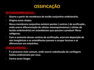 OSSIFICAÇÃO
INTRAMEMBRANOSA :
- Ocorre a partir de membrana de tecido conjuntivo embrionário.
- Origina ossos chatos.
- Nessa membrana conjuntiva existem pontos ( centros ) de ossificação ,
onde ocorre diferenciação de células mesenquimatosas ( células de
tecido embrionário) em osteoblastos que passam a produzir fibras
colágenas.
- Com o aumento desses centros de ossificação, ocorrem deposição de
sais inorgânicos e os osteoblastos passam a ocupar lacunas e se
diferenciam em osteócitos.
ENDOCONDRAL :
- É o processo mais comum, onde ocorre substituição de cartilagem
hialina embrionária por osso.
- Forma ossos longos
 