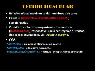 TECIDO MUSCULAR
• Relacionado ao movimento dos membros e visceras.
• Células ( MIÓCITOS ou FIBRAS MUSCULARES )
são alongadas.
• Os miócitos são ricos em proteinas filamentosas
(miofilamentos) responsáveis pela contração e distensão
das células musculares. Ex.: Actina e Miosina.
• OBS:
- SARCOLEMA - membrana plasmática do miócito
- SARCOPLASMA – citoplasma do miócito
- RETÍCULO SARCOPLASMÁTICO – retículo endoplasmático do miócito.
 
