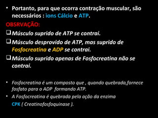 • Portanto, para que ocorra contração muscular, são
necessários : ìons Cálcio e ATP.
OBSRVAÇÃO:
Músculo suprido de ATP se contrai.
Músculo desprovido de ATP, mas suprido de
Fosfocreatina e ADP se contrai.
Músculo suprido apenas de Fosfocreatina não se
contrai.
• Fosfocreatina é um composto que , quando quebrada,fornece
fosfato para o ADP formando ATP.
• A Fosfocreatina é quebrada pela ação da enzima
CPK ( Creatinofosfoquinase ).
 