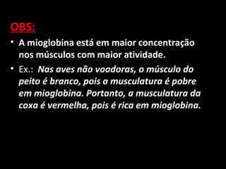 OBS:
• A mioglobina está em maior concentração
nos músculos com maior atividade.
• Ex.: Nas aves não voadoras, o músculo do
peito é branco, pois a musculatura é pobre
em mioglobina. Portanto, a musculatura da
coxa é vermelha, pois é rica em mioglobina.
 