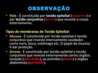 OBSERVAÇÃO
• Pele - É constituída por tecido epitelial (epiderme) e
por tecido conjuntivo (derme) que reveste o corpo
externamente.
Tipos de membranas de Tecido Epitelial:
• Mucosa - É constituída por tecido epitelial e tecido
conjuntivo que reveste internamente cavidades
como nariz, boca, estômago etc. O papel da mucosa
é dar proteção.
• Serosa - É constituída por tecido epitelial e tecido
conjuntivo que reveste externamente certos órgãos:
coração (pericárdio), os pulmões (pleura) e órgãos
abdominais (peritônio)
 