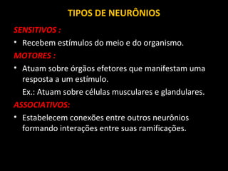 TIPOS DE NEURÔNIOS
SENSITIVOS :
• Recebem estímulos do meio e do organismo.
MOTORES :
• Atuam sobre órgãos efetores que manifestam uma
resposta a um estímulo.
Ex.: Atuam sobre células musculares e glandulares.
ASSOCIATIVOS:
• Estabelecem conexões entre outros neurônios
formando interações entre suas ramificações.
 