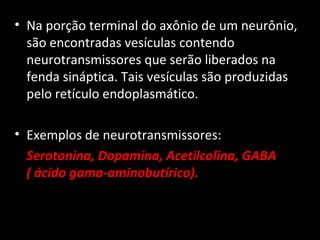 • Na porção terminal do axônio de um neurônio,
são encontradas vesículas contendo
neurotransmissores que serão liberados na
fenda sináptica. Tais vesículas são produzidas
pelo retículo endoplasmático.
• Exemplos de neurotransmissores:
Serotonina, Dopamina, Acetilcolina, GABA
( ácido gama-aminobutírico).
 