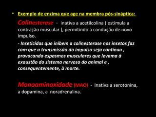 • Exemplo de enzima que age na membra pós-sináptica:
Colinesterase - inativa a acetilcolina ( estimula a
contração muscular ), permitindo a condução de novo
impulso.
- Inseticidas que inibem a colinesterase nos insetos faz
com que a transmissão do impulso seja contínua ,
provocando espasmos musculares que levama à
exaustão do sistema nervoso do animal e ,
consequentemente, à morte.
Monoaminoxidade (MAO) - Inativa a serotonina,
a dopamina, a noradrenalina.
 
